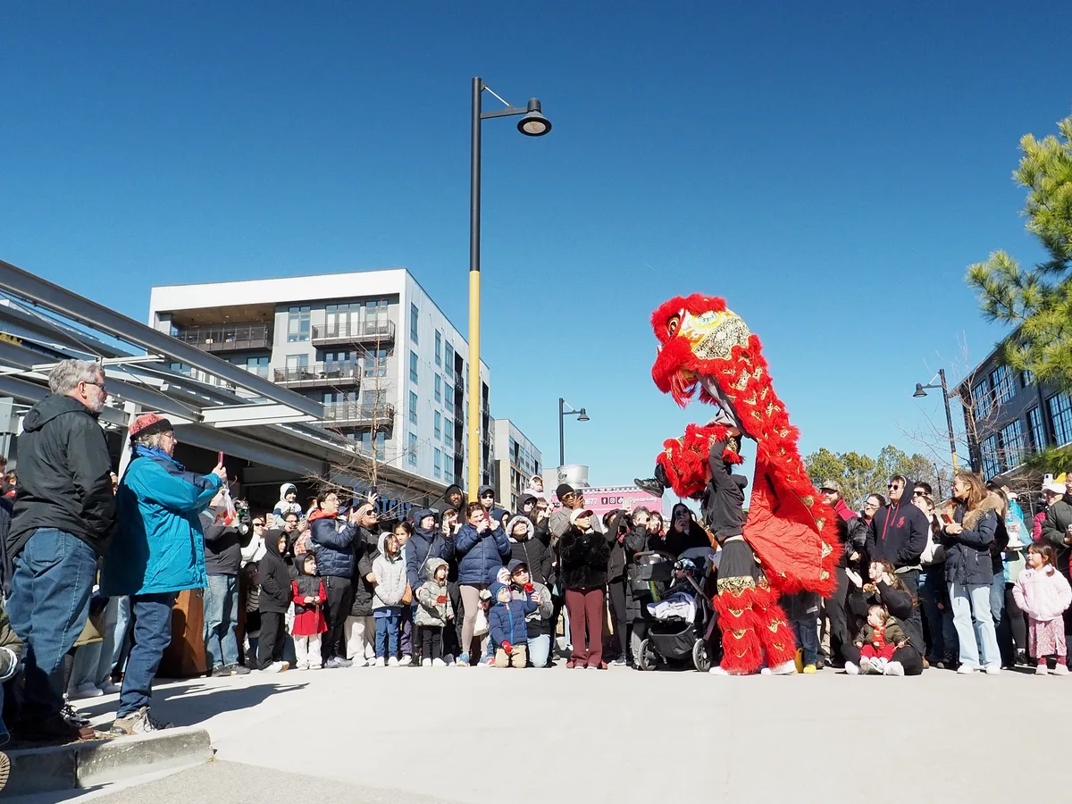 Lunar New Year photograph 12